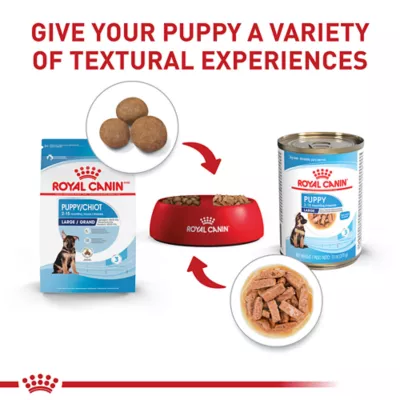 Product Royal Canin Size Health Nutrition Large Breed Puppy Dog Wet Food - 13 oz