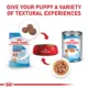 Product Royal Canin Medium Breed Puppy Dog Wet Food - 13 Oz.