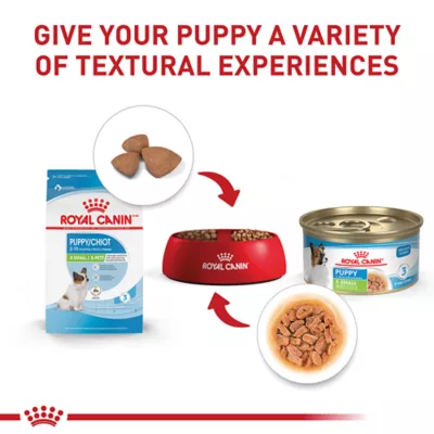 Product Royal Canin Size Health Nutrition X-Small Breed Puppy Dog Wet Food - 3 oz