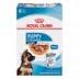 Royal Canin Large Breed Puppy Dog Wet Food - Variety Pack, 13 oz (6 Count) image thumbnail 1