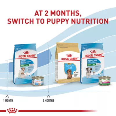 Product Royal Canin Size Health Nutrition Small Breed Starter Mother & Babydog Dry Food - 2.5 lb