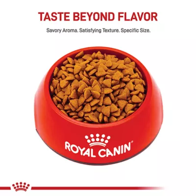 Product Royal Canin Size Health Nutrition Small Breed Puppy Dog Dry Food