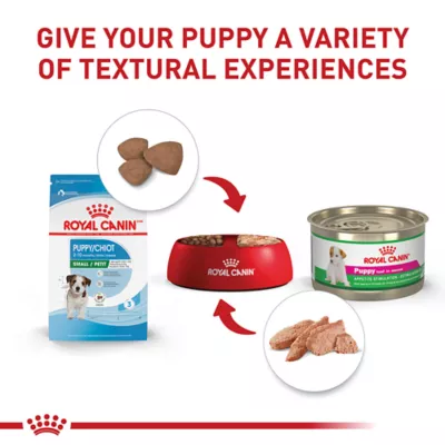 Product Royal Canin Size Health Nutrition Small Breed Puppy Dog Dry Food