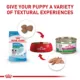 Product Royal Canin Size Health Nutrition Small Breed Puppy Dog Dry Food