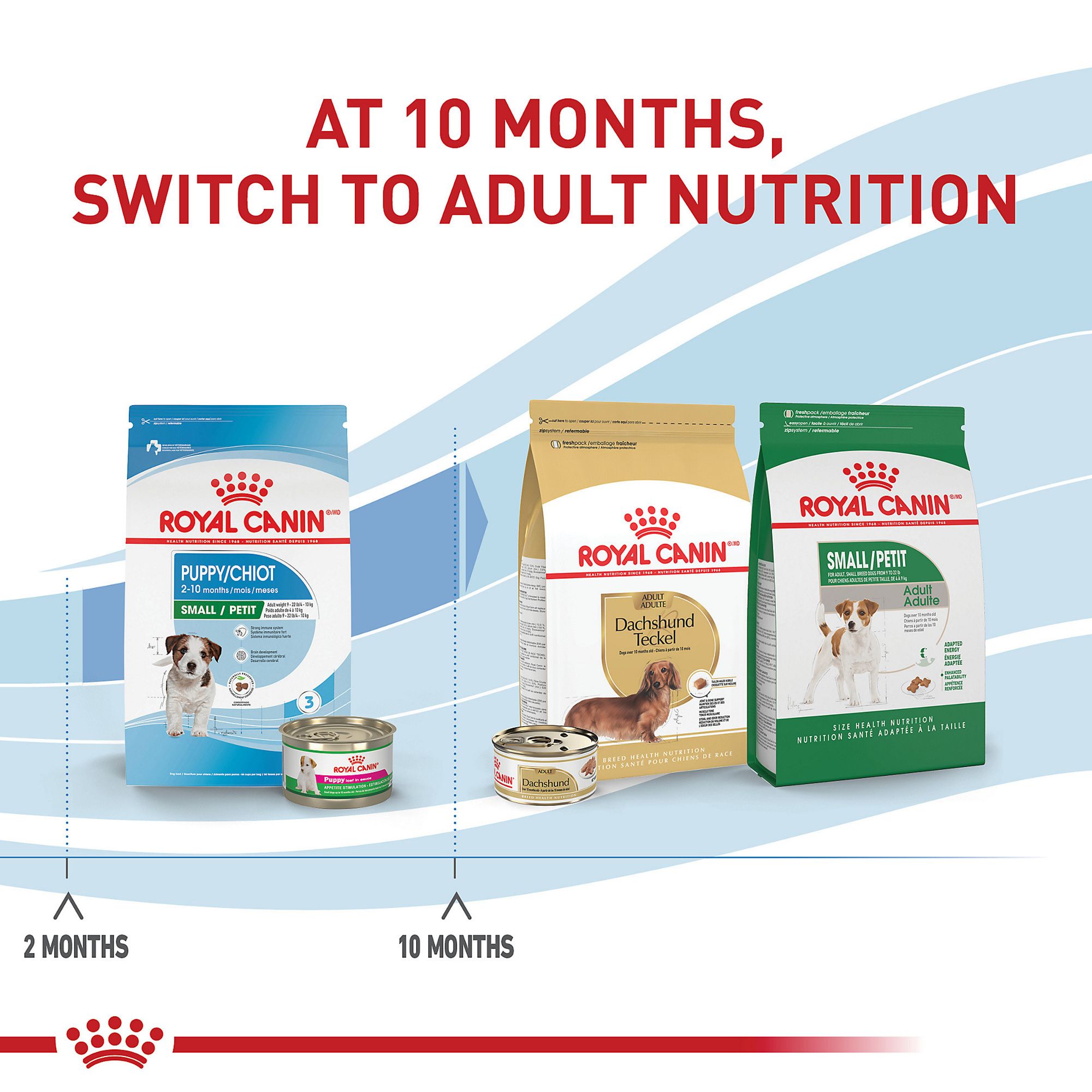 Royal canin size health nutrition adult dog dry food hotsell