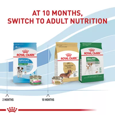 Product Royal Canin Size Health Nutrition Small Breed Puppy Dog Dry Food