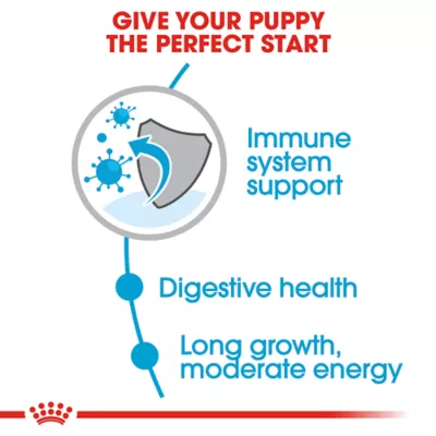 Product Royal Canin Size Health Nutrition Large Breed Puppy Dog Dry Food