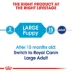 Royal Canin Large Puppy Dry Dog Food, Size Health Nutrition image thumbnail 5