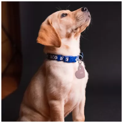 TagWorks Rose Gold Modern Heart Paw Punch Out Personalized Pet ID Tag