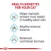 Royal Canin Feline Adult Dry Cat Food Care Nutrition, Urinary Care image thumbnail 5