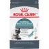 Royal Canin Hairball Care Dry Cat Food 3LB image thumbnail 1