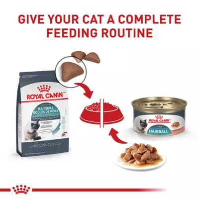 Product Royal Canin Hairball Care Dry Cat Food 3LB