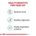 Royal Canin Feline Adult Dry Cat Food Care Nutrition, Digestive Care image thumbnail 5