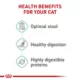 Product Royal Canin(R) Feline Health Nutrition Digestive Care Dry Cat Food