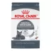 Royal Canin Feline Adult Dry Cat Food Care Nutrition, Dental Care image thumbnail 1