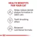 Royal Canin Feline Adult Dry Cat Food Care Nutrition, Dental Care image thumbnail 5