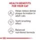 Product Royal Canin® Dental Adult Cat Dry Food