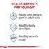 Royal Canin Feline Adult Dry Cat Food Care Nutrition, Weight Care image thumbnail 5