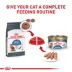 Royal Canin Feline Adult Dry Cat Food Care Nutrition, Weight Care image thumbnail 7