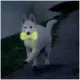 Product Nerf Dog™ Glow Squeak Bubble Bone Dog Toy