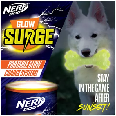 Product Nerf Dog™ Glow Squeak Bubble Bone Dog Toy