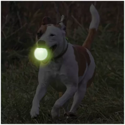 Product Nerf Dog™ Glow Starter Pack Dog Toy