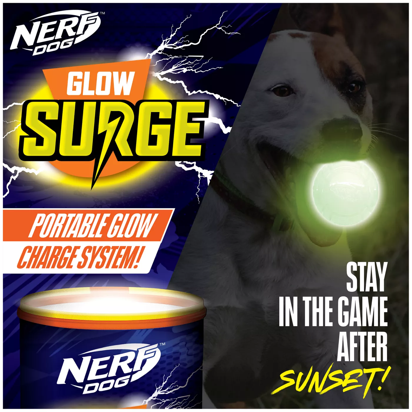 Product Nerf Dog™ Glow Starter Pack Dog Toy