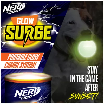 Product Nerf Dog™ Glow Starter Pack Dog Toy