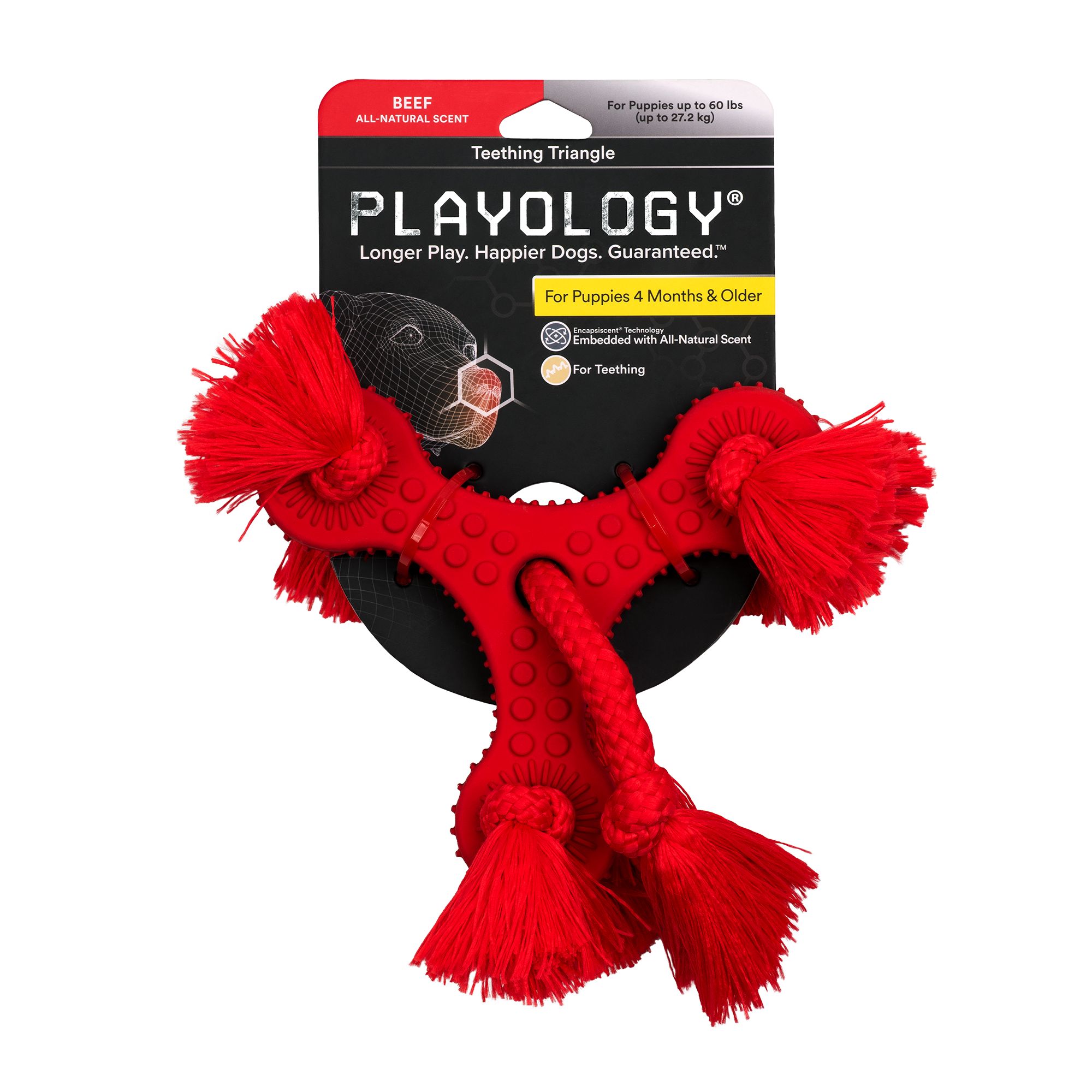 Playology® Puppy Sensory Bone Dog Toy - Beef, dog Plush Toys, PetSmart