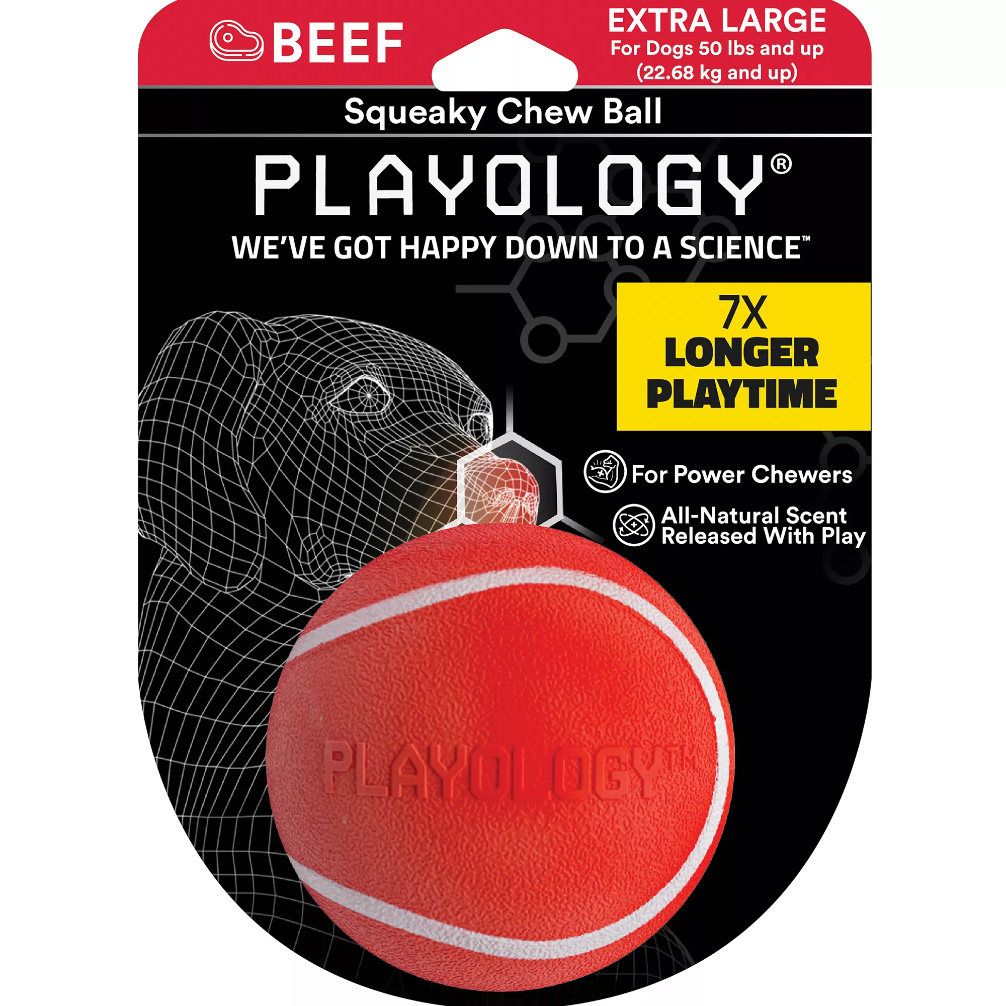 Playology® Squeaky Chew Ball Dog Toy - Beef