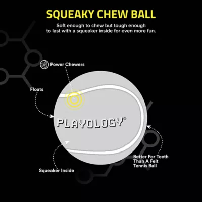 Product Playology® Squeaky Chew Ball Dog Toy - Beef