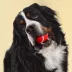 Playology® Squeaky Chew Ball Dog Toy - Beef image thumbnail 3