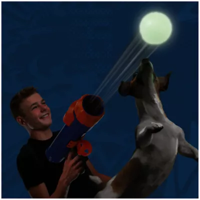 Product Nerf Dog™ Glow Translucent Blaster Dog Toy