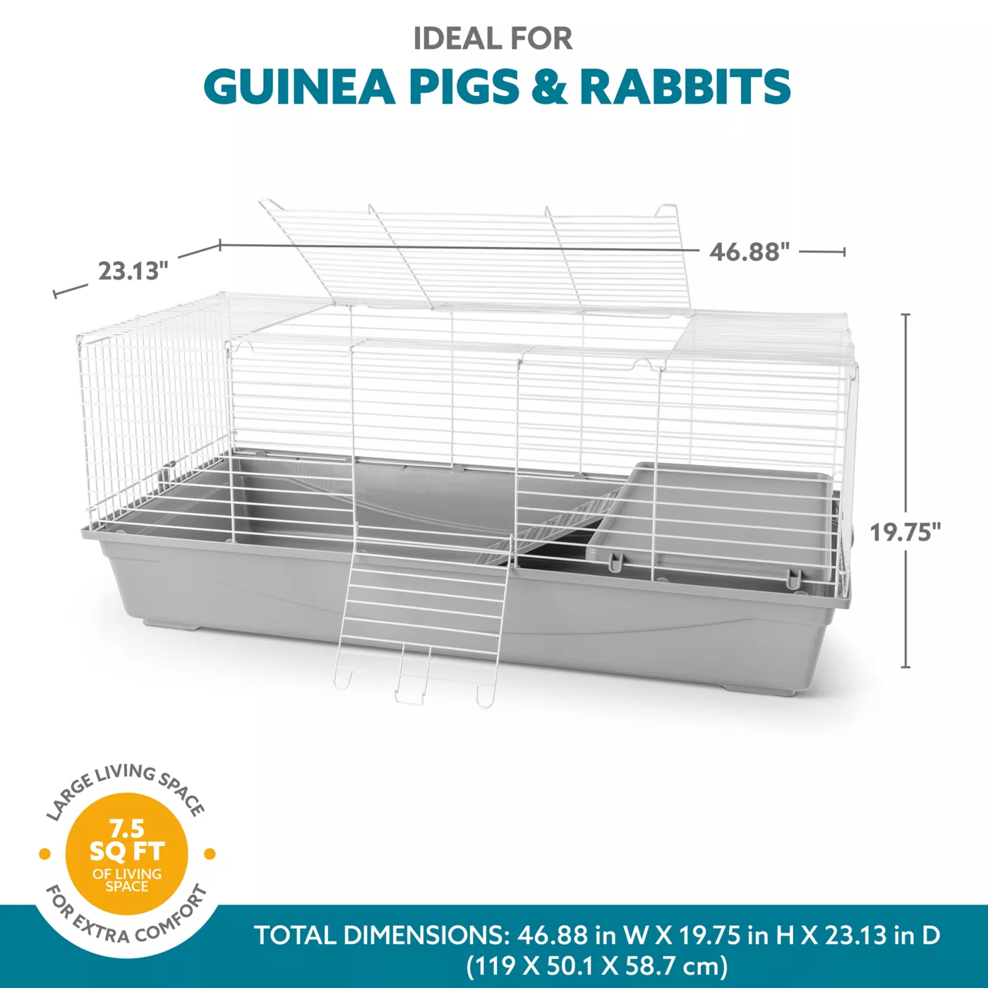 Guinea pig house petsmart outlet