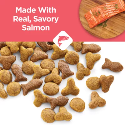 Product  Purina Cat Chow Complete Dry Cat Food High-Protein Salmon Formula 3.15LB
