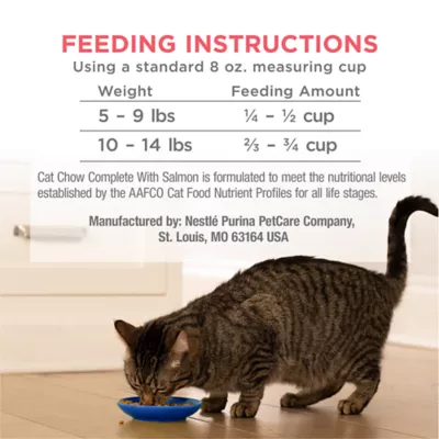  Purina Cat Chow Complete Dry Cat Food High-Protein Salmon Formula 3.15LB - Image 7