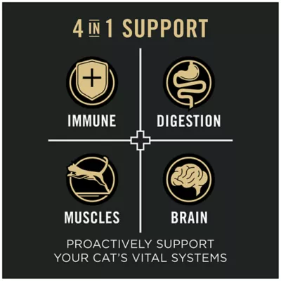 Product Purina® Pro Plan® Vital Systems Adult Cat Dry Food - 4-in-1 Health Support , Salmon & Egg