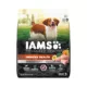 Product IAMS Advanced Health Adult Dry Dog Food - Immune Health, Chicken & Superfoods Recipe