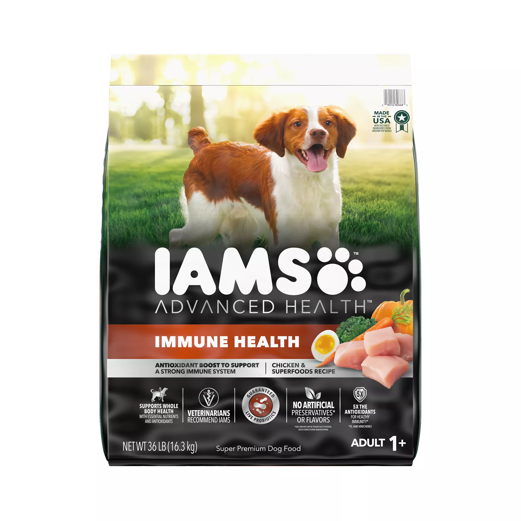 Petsmart iams puppy food best sale