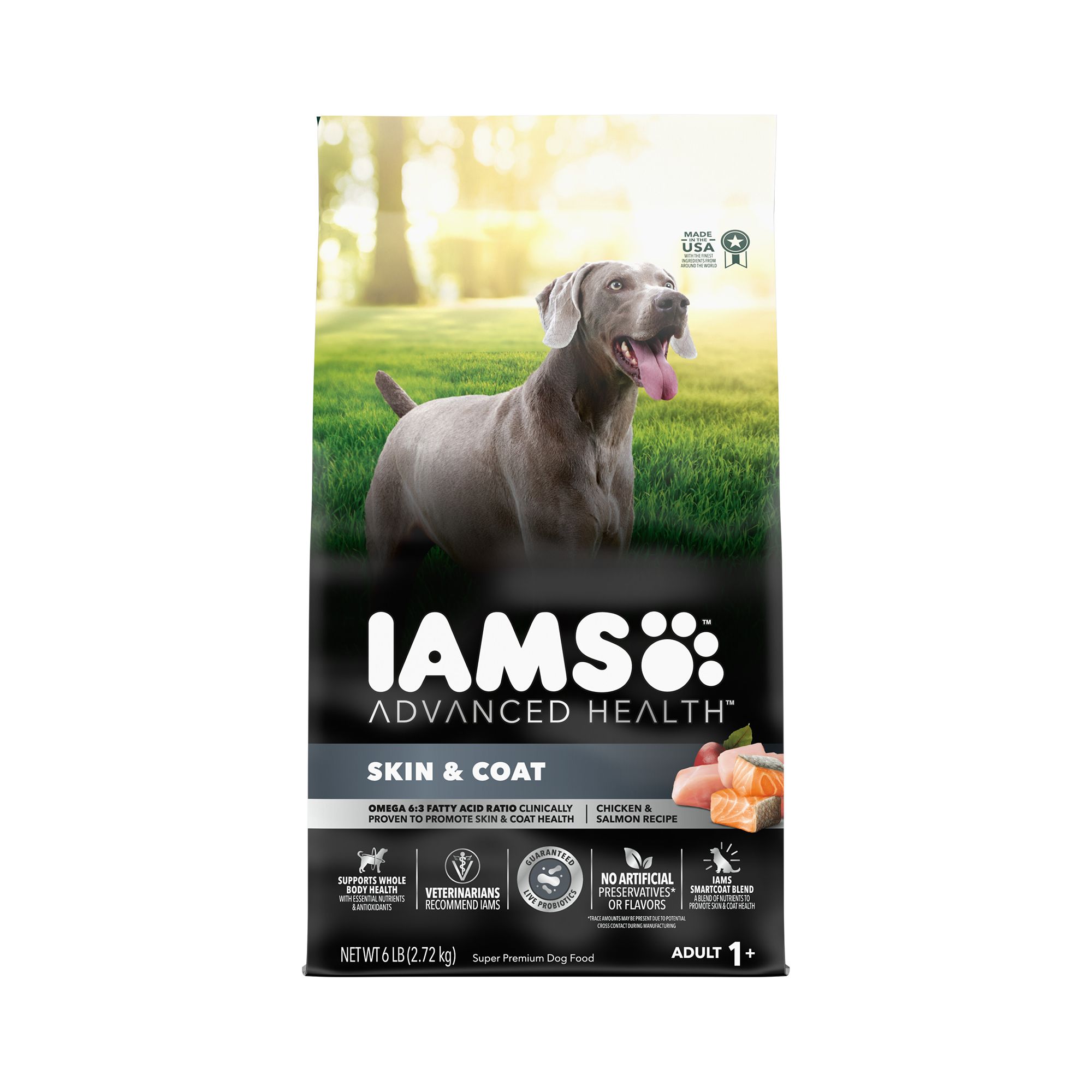 Iams puppy shop food petsmart