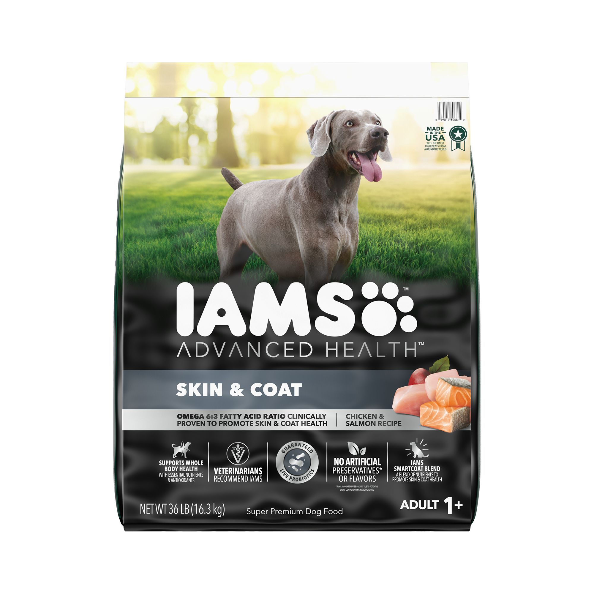 IAMS Advanced Health Adult Dry Dog Food - Skin & Coat, Chicken & Salmon