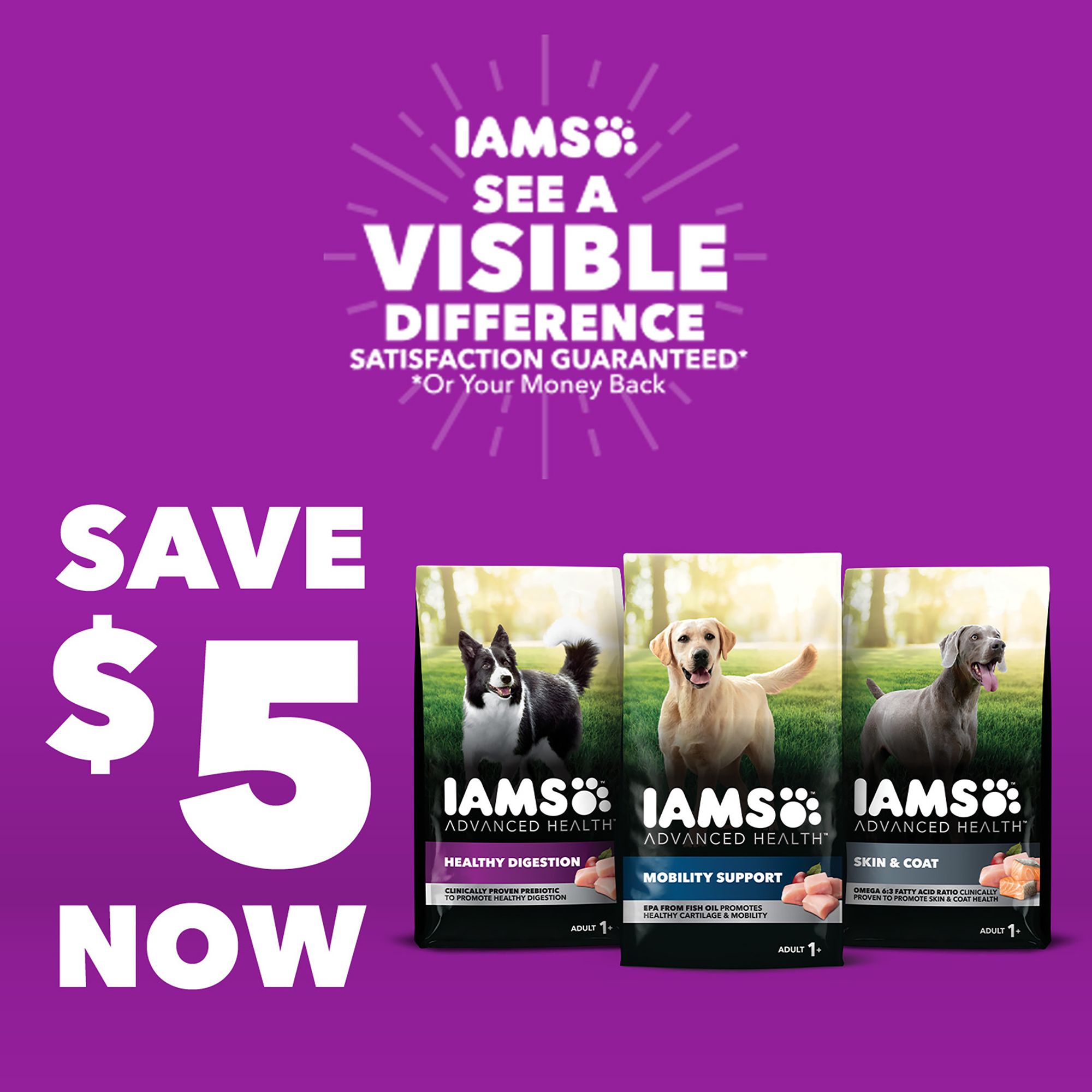 IAMS Advanced Health Adult Dry Dog Food Skin Coat Chicken Salmon PetSmart in Tustin CA The Market Place