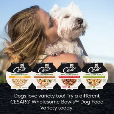 Cesar Wholesome Bowls All Life Stage Wet Dog Food Meal Topper 3 Oz