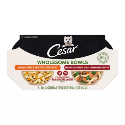 Product CESAR Wholesome Bowls Adult Wet Dog Food - 3 Oz. 6 Count, Variety Pack