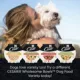 Product CESAR Wholesome Bowls Adult Wet Dog Food - 3 Oz. 6 Count, Variety Pack