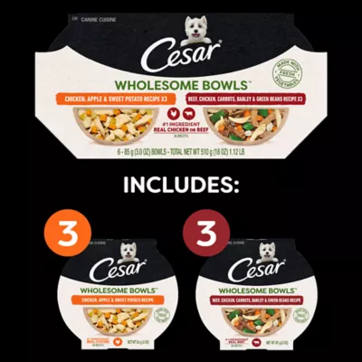 Product CESAR Wholesome Bowls Adult Wet Dog Food - 3 Oz. 6 Count, Variety Pack