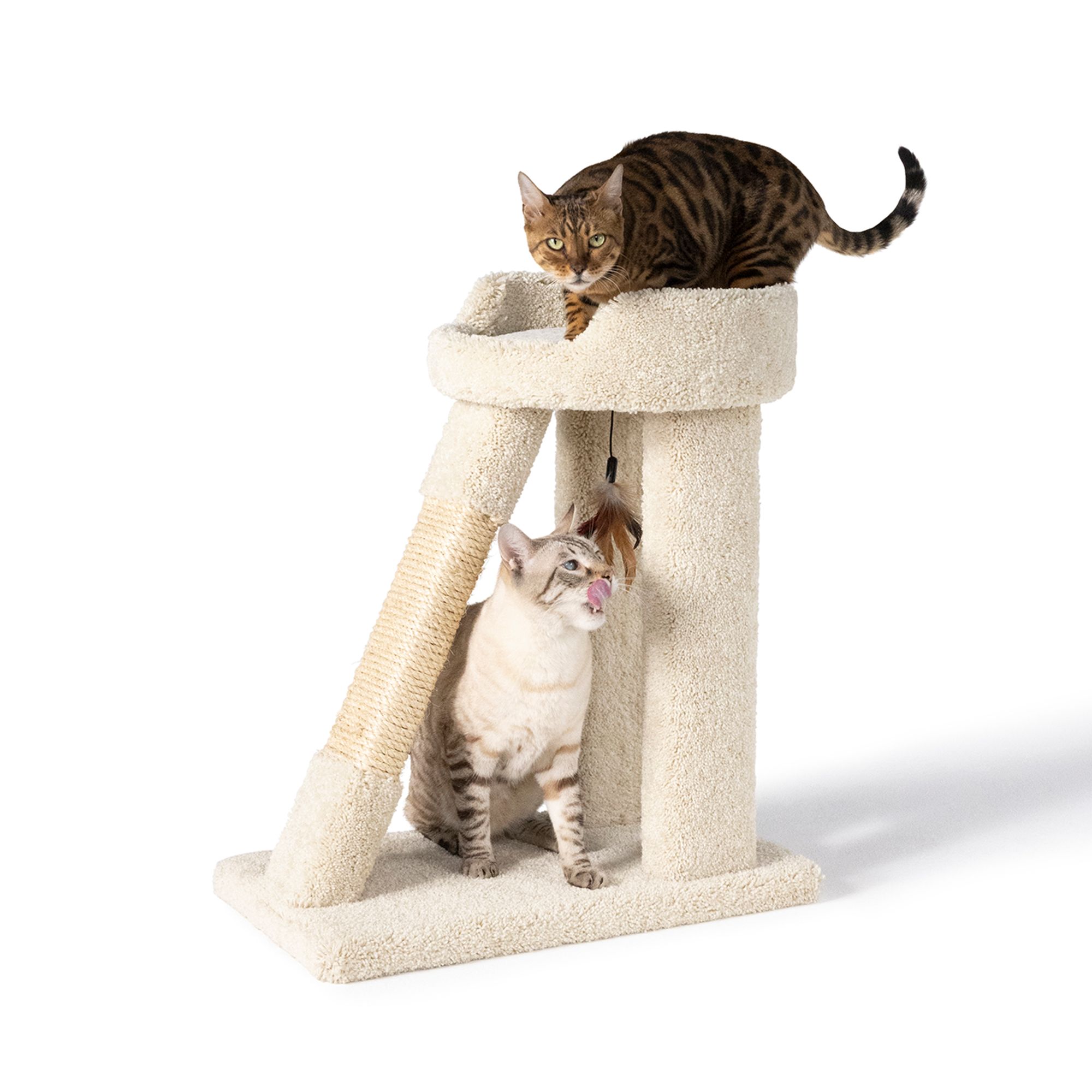 Petsmart cat trees outlet in store