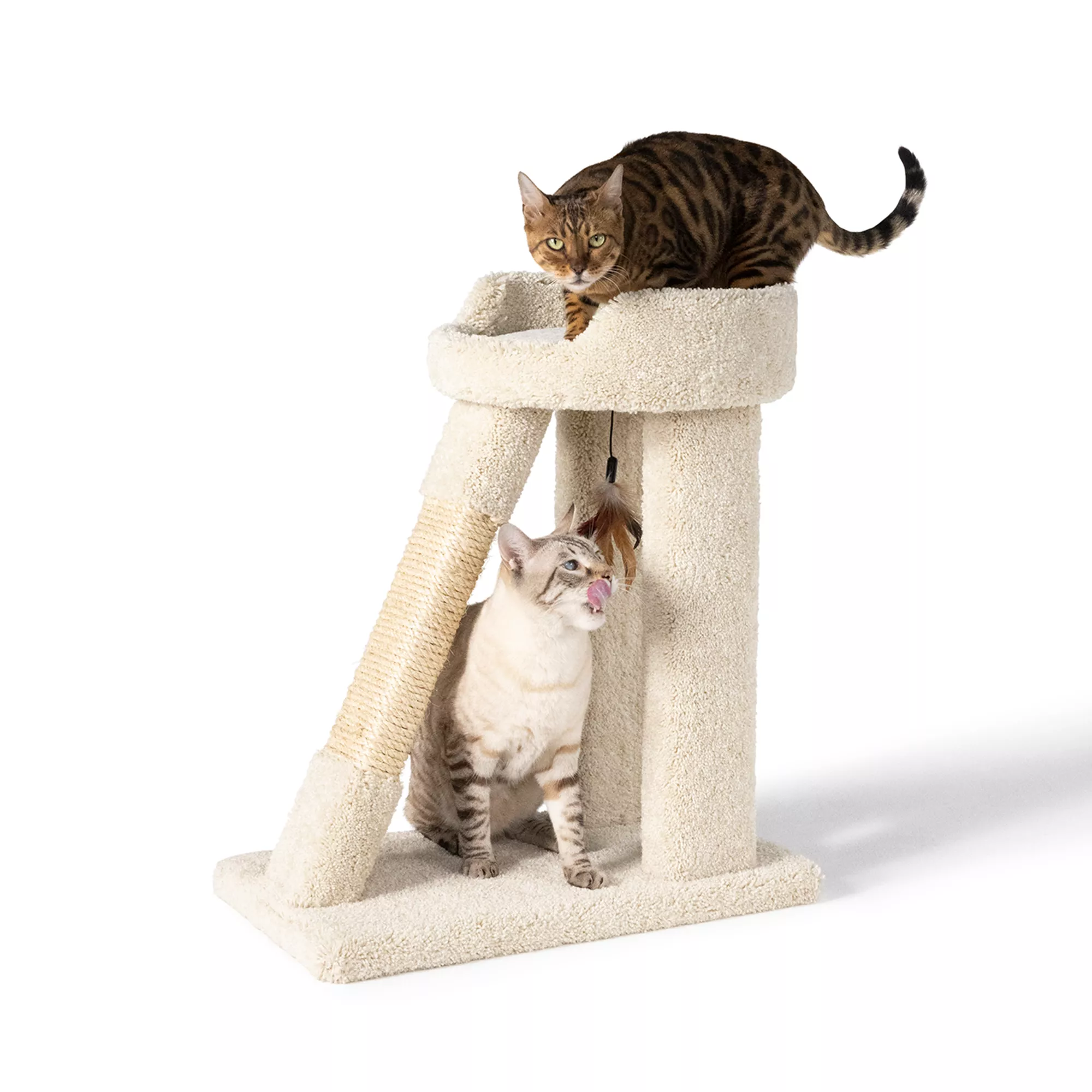 Cat tree petsmart canada best sale