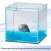 Aqueon®Pure Betta Beads image thumbnail 5