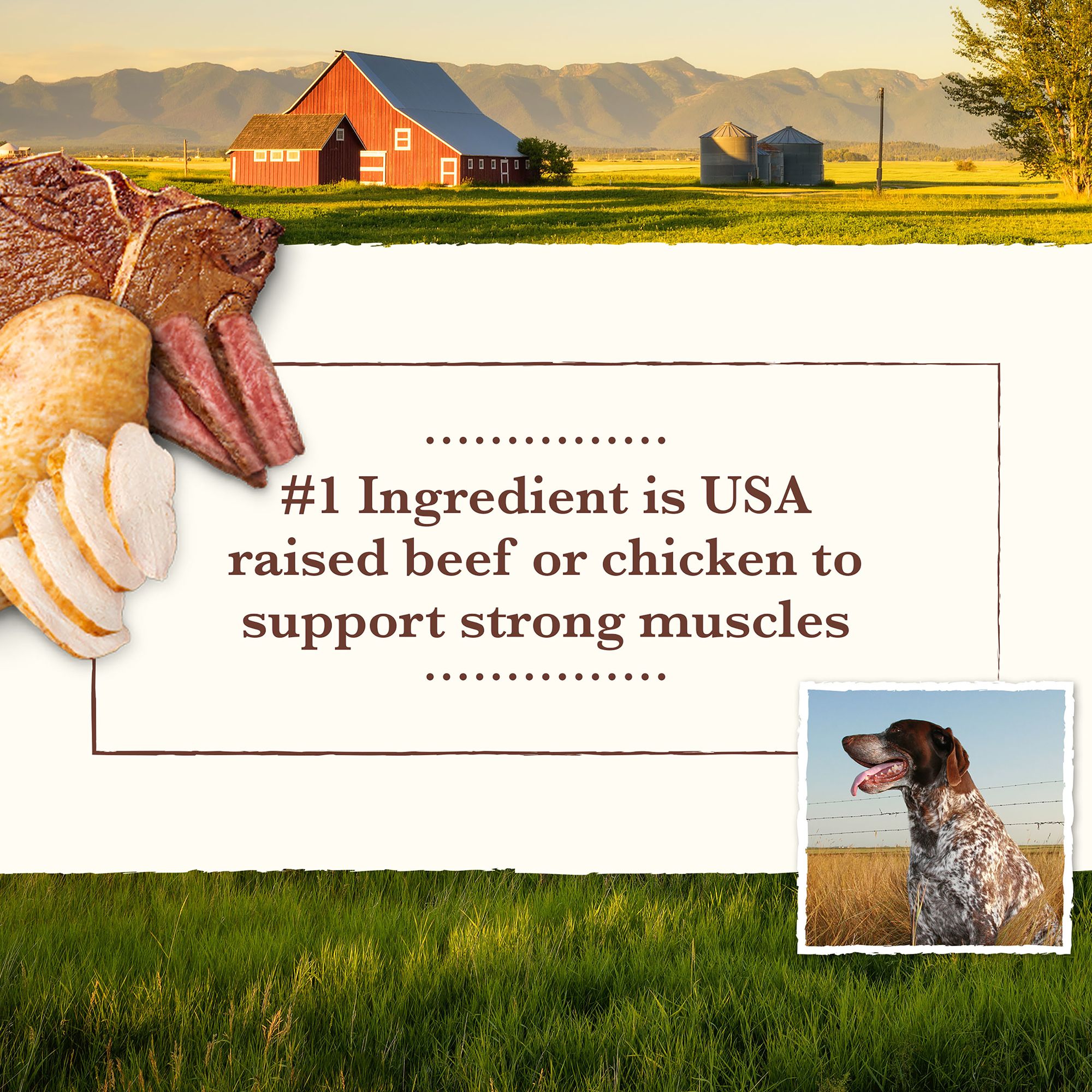 Whole earth farms dog food petsmart cheap